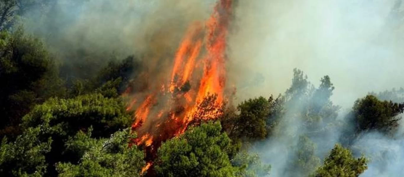 Φωτιά στην Κόρινθο - Κοντά στις γραμμές του Προαστιακού (βίντεο)
